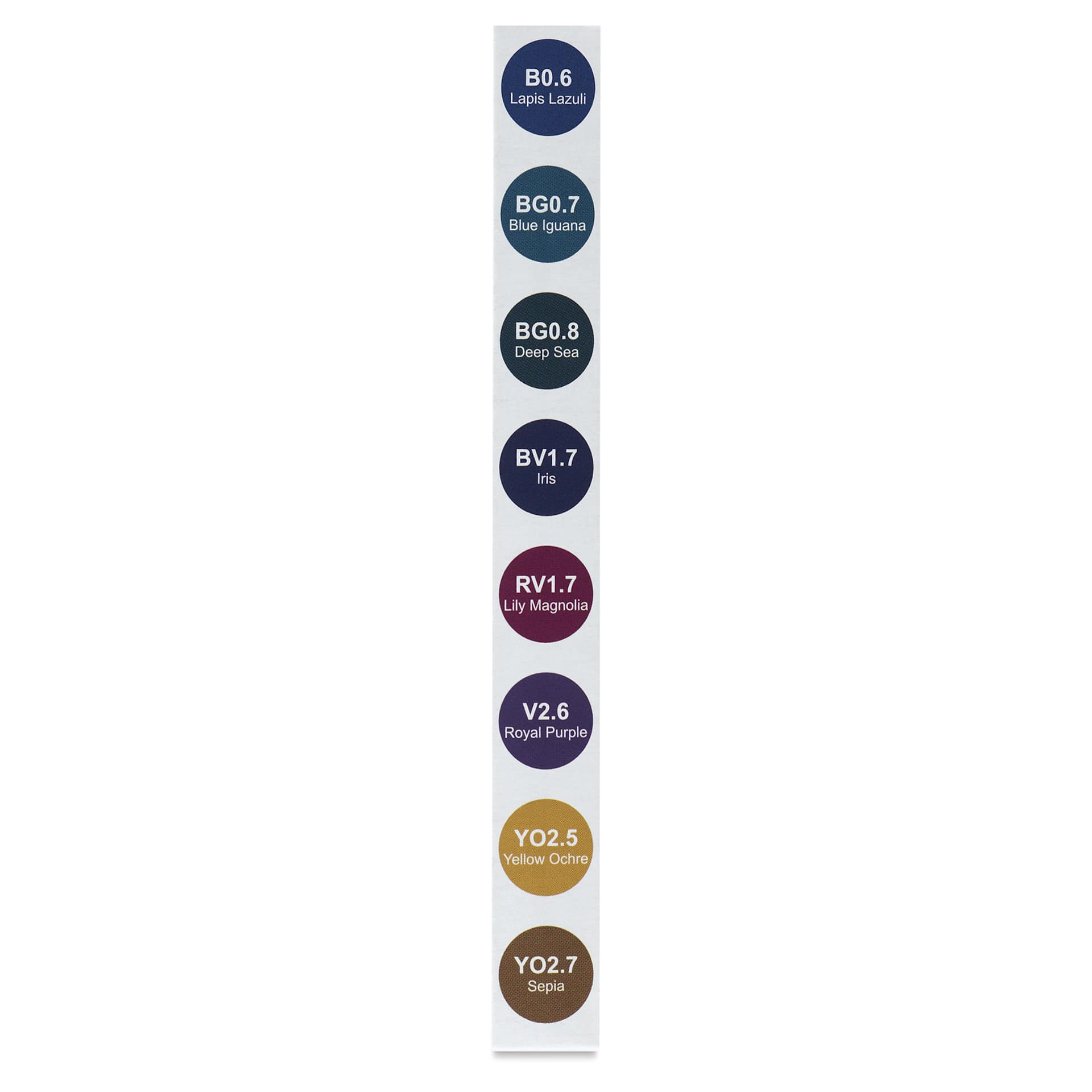 Olo Chisel Dual-Tip Markers - Set of 8, Rich colors with codes