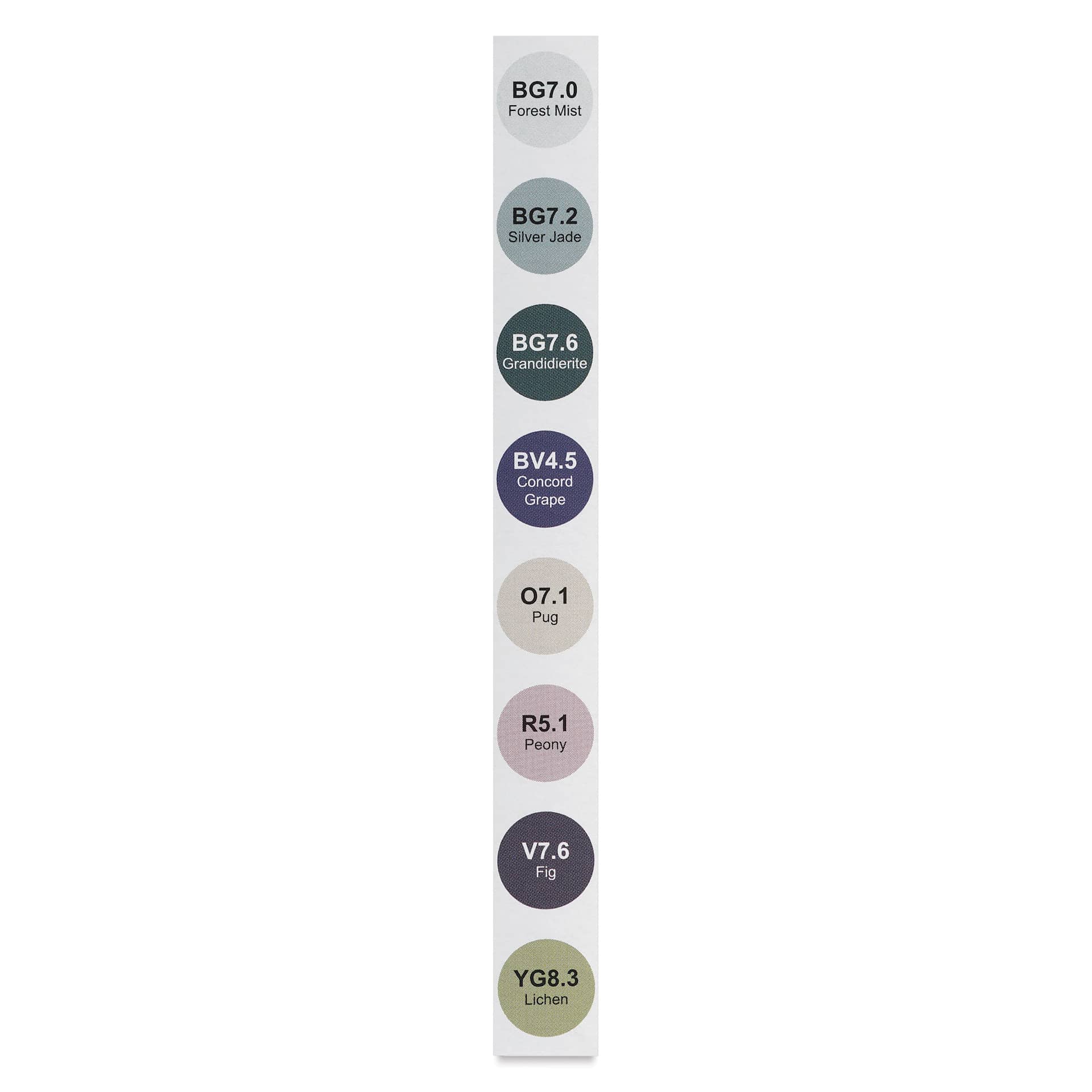 Olo Chisel Dual-Tip Markers - Set of 8, Muted colors with codes