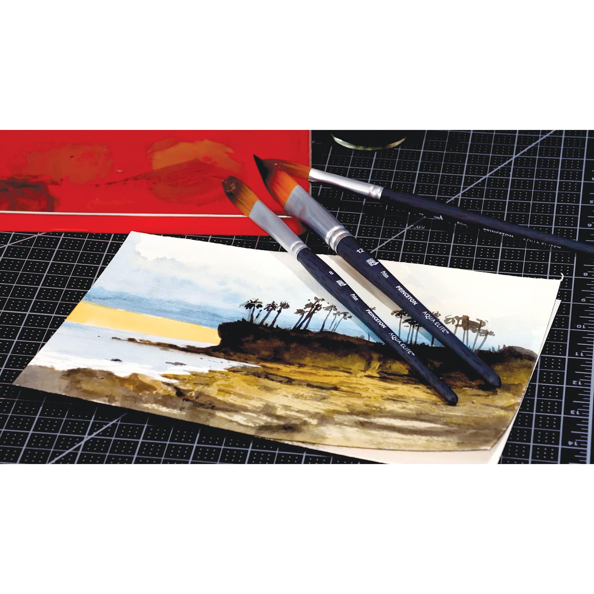 Princeton Aqua Elite Series 4850 Synthetic Brush, beach painting