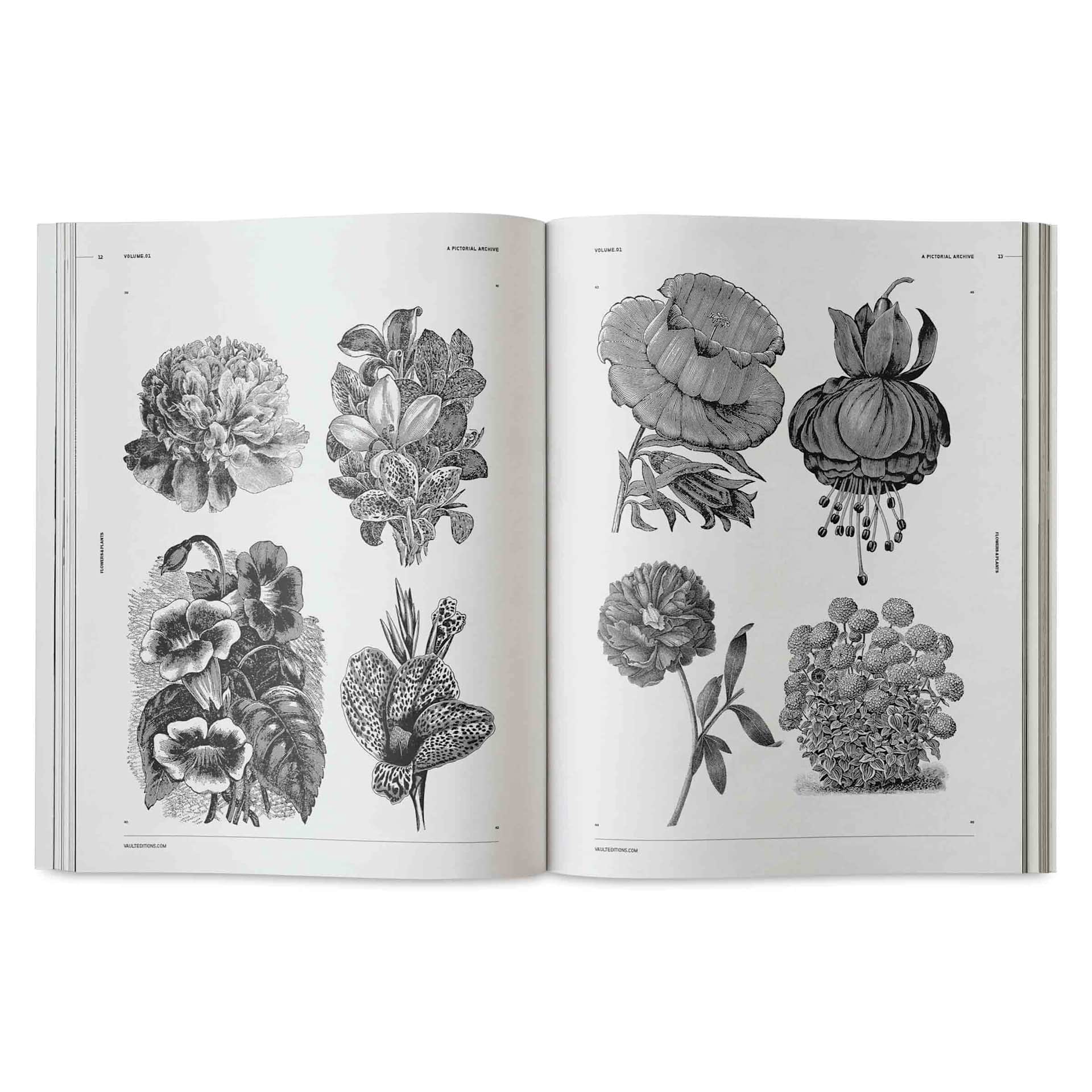 Vault Editions Flowers and Plants – An Image Archive for Artists and Designers, peony and other flowers