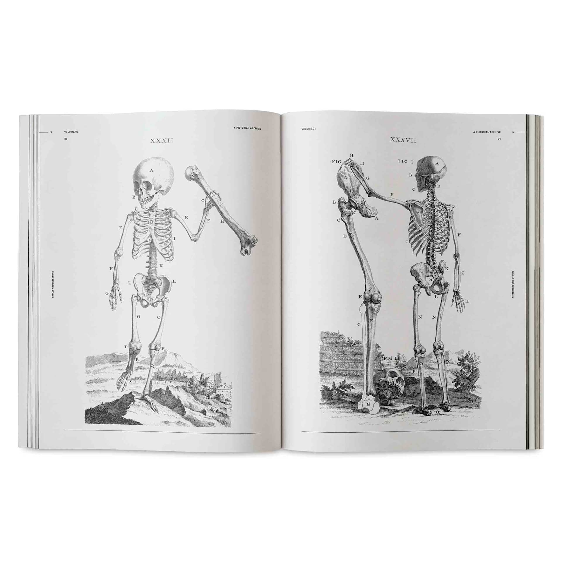 Vault Editions Skulls and Skeletons: An Image Archive for Artists and Designers, skeletons with large animal bones