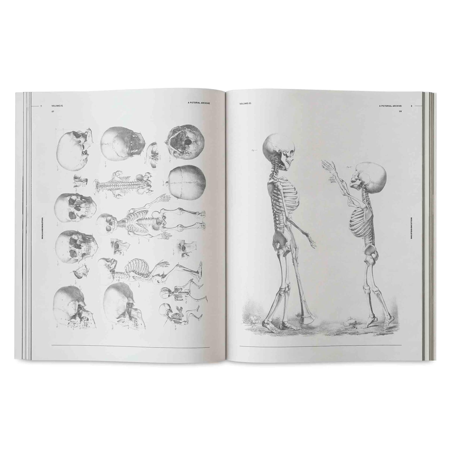 Vault Editions Skulls and Skeletons: An Image Archive for Artists and Designers, children skeletons