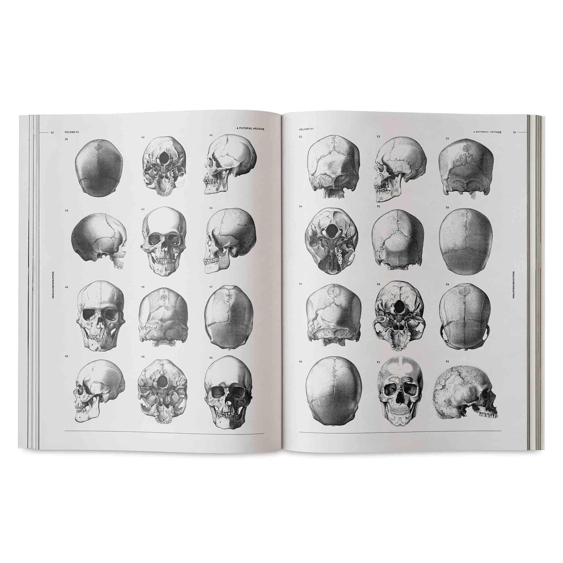 Vault Editions Skulls and Skeletons: An Image Archive for Artists and Designers, skulls