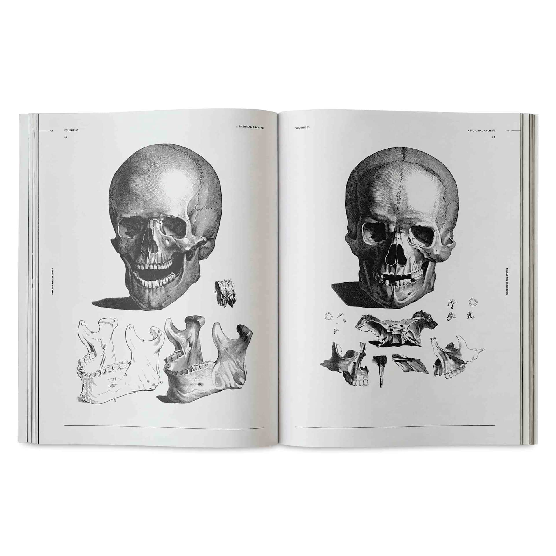 Vault Editions Skulls and Skeletons: An Image Archive for Artists and Designers, jaw separated