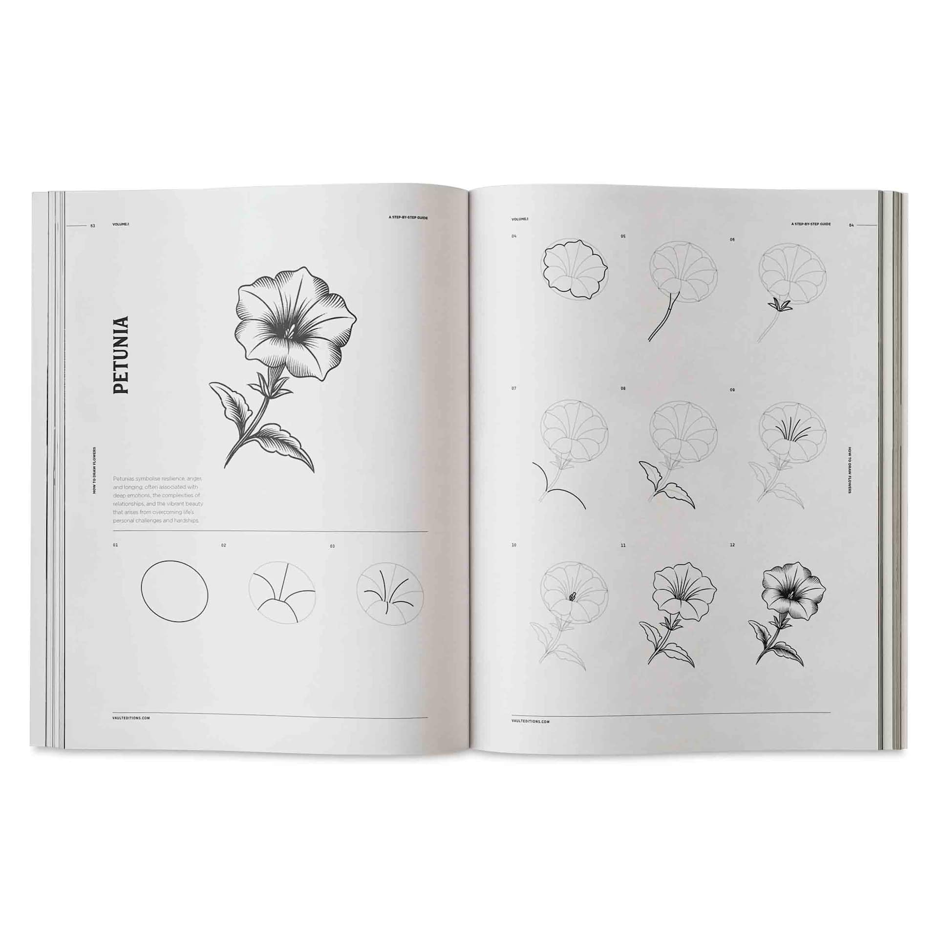 Vault Editions How to Draw Flowers, petunia