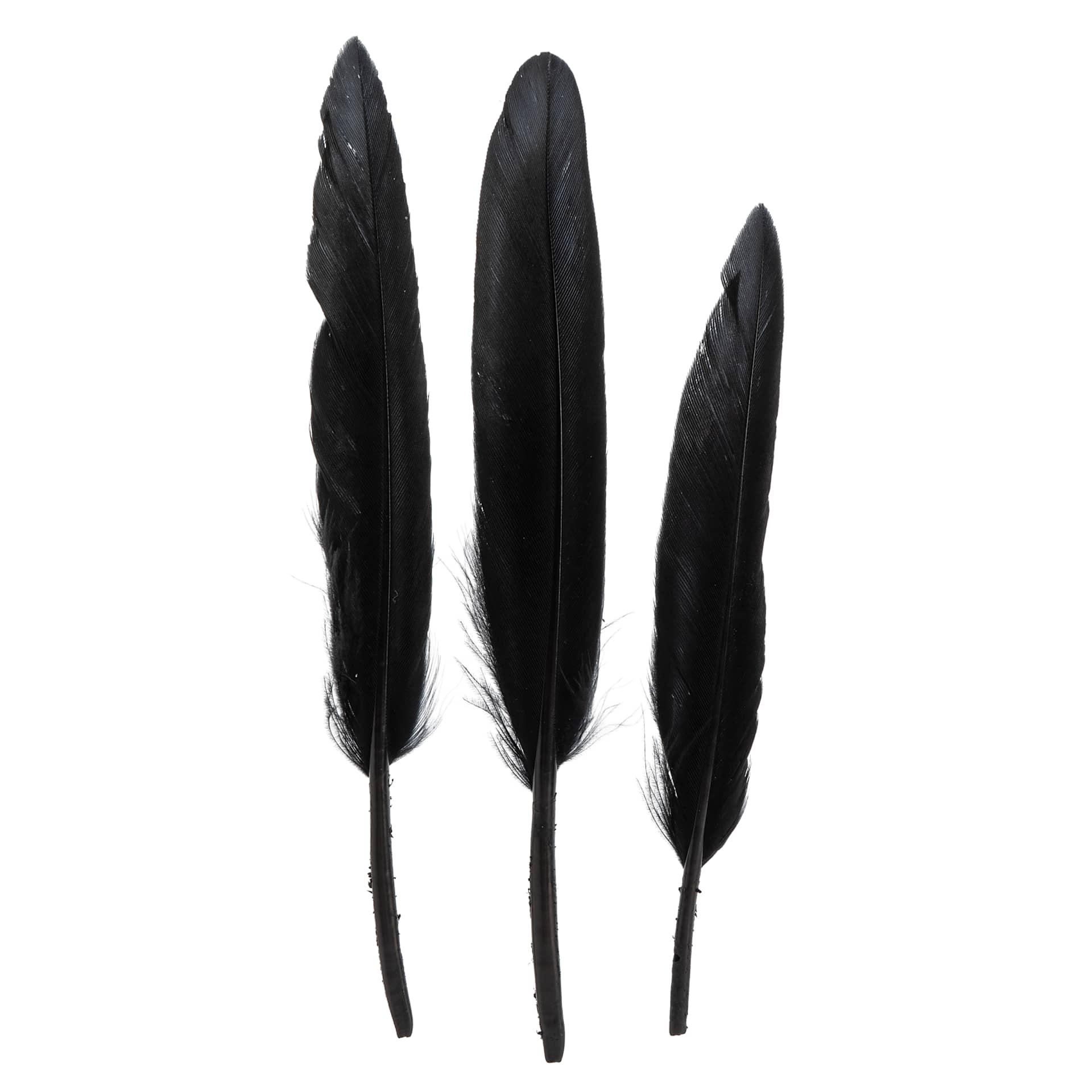 John Bead Duck Quill Feathers - Black - three feathers