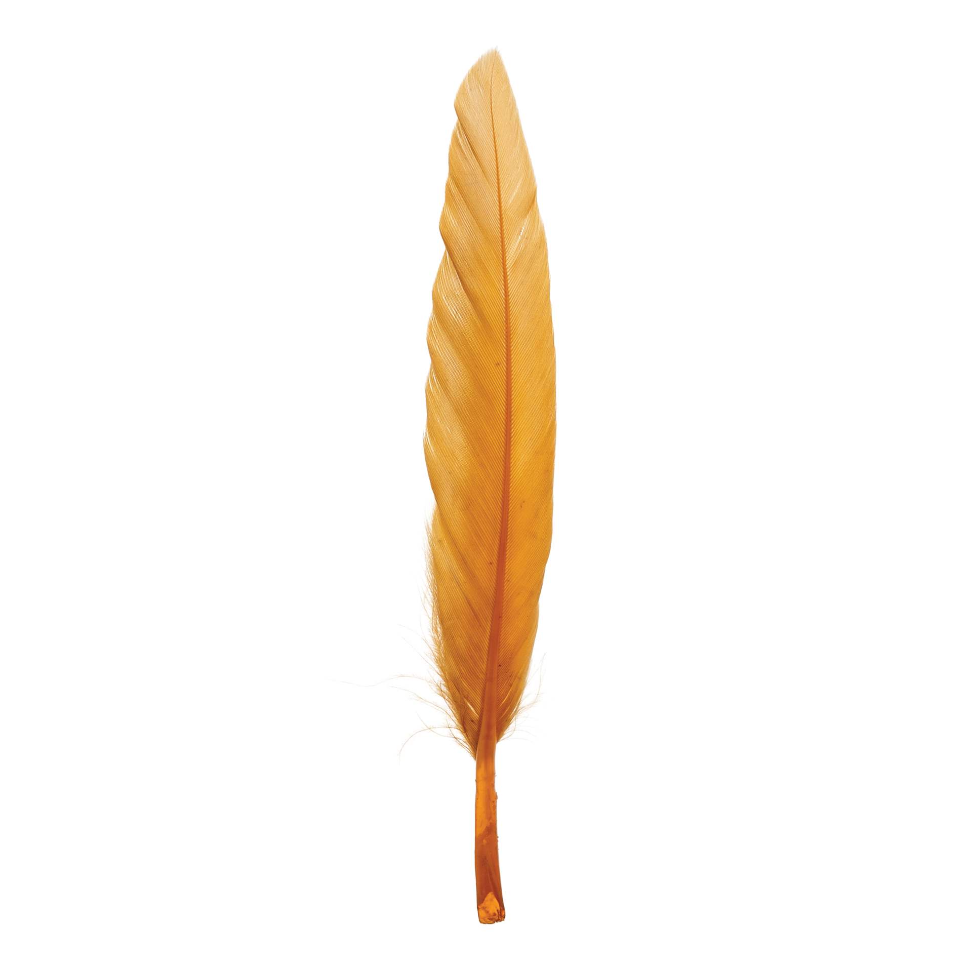 John Bead Duck Quill Feathers - Brown - single feather