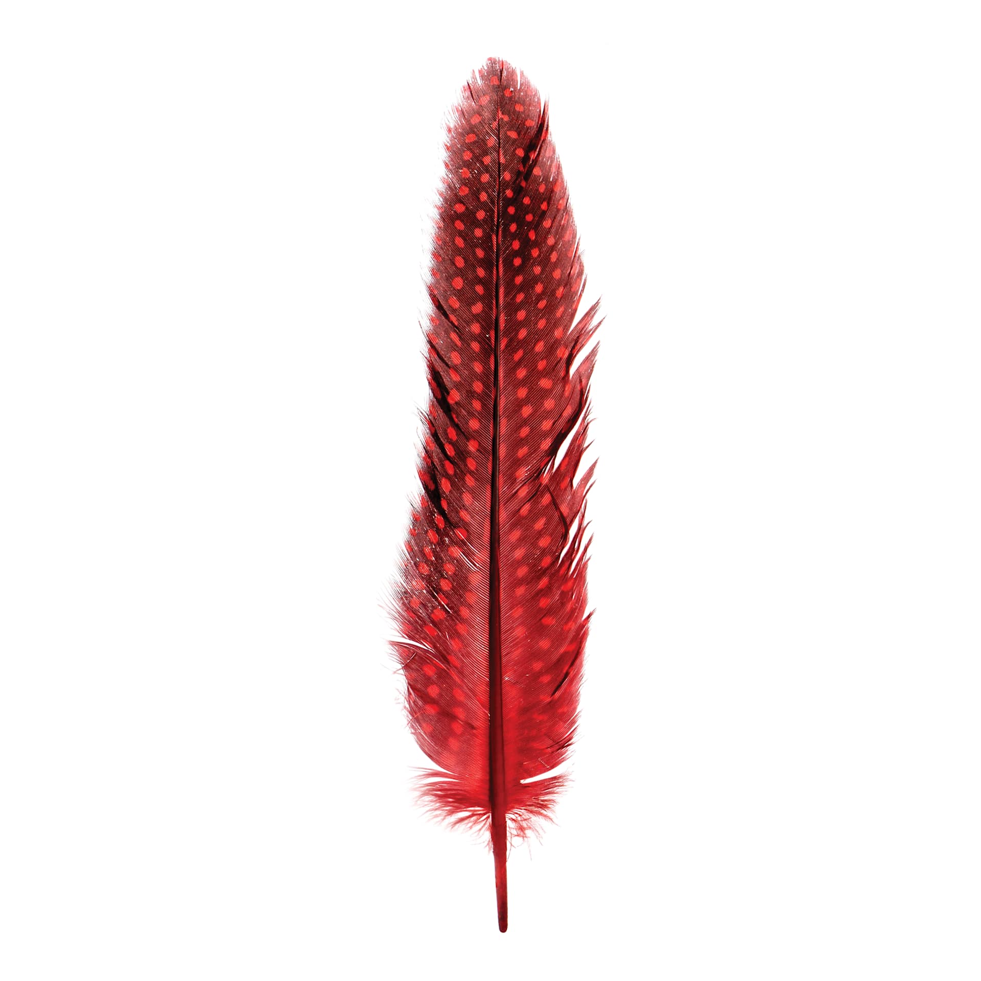 John Bead Guinea Fowl Quill Feathers - Red - single feather