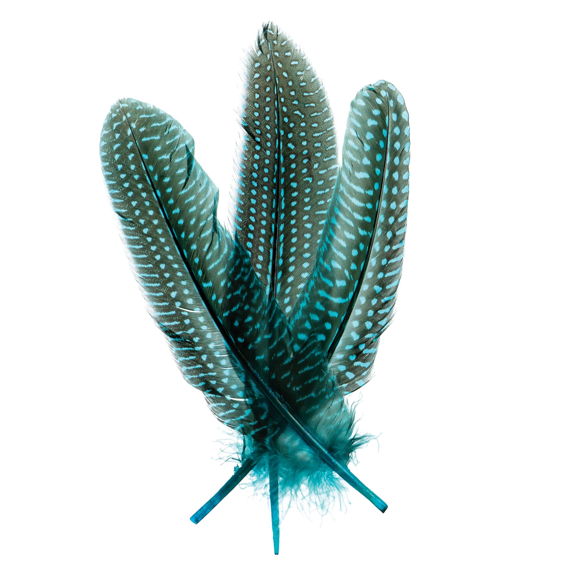 John Bead Guinea Fowl Quill Feathers - Turquoise