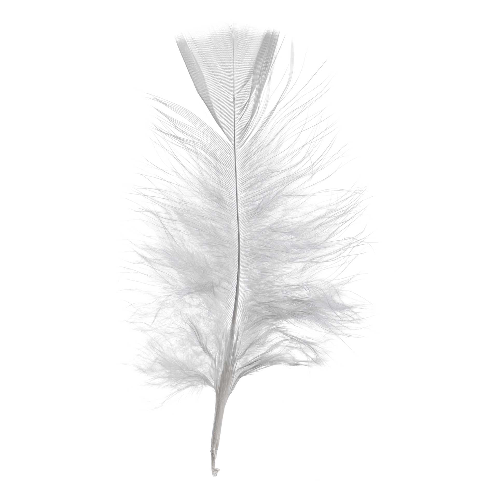 John Bead Marabou Feathers - White - single feather