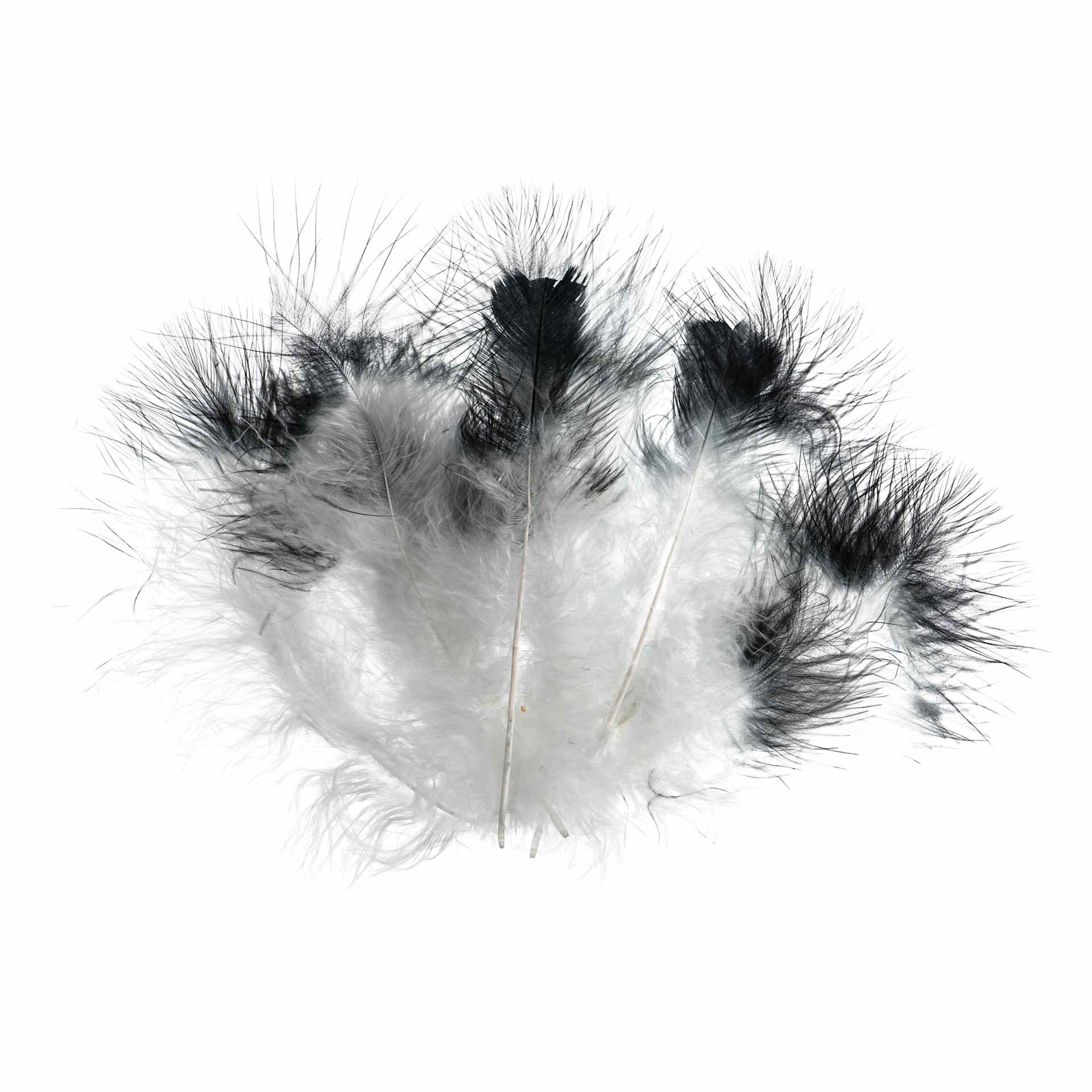 John Bead Marabou Feathers - White and Black - out of packaging