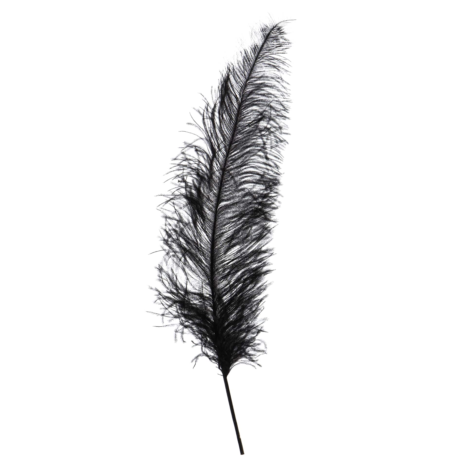 John Bead Ostrich Spad Feather - Black - upright