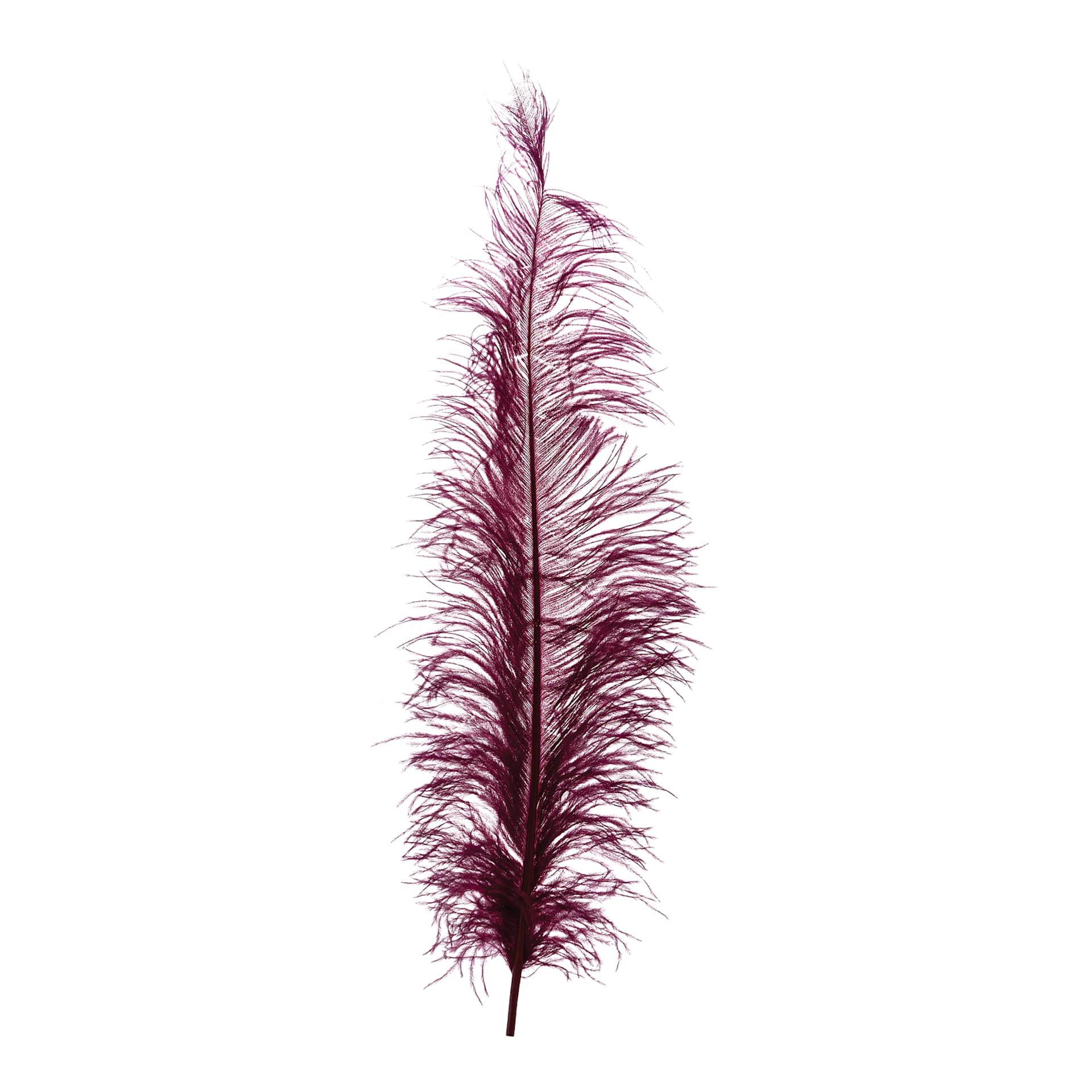 John Bead Ostrich Spad Feather - Eggplant - upright