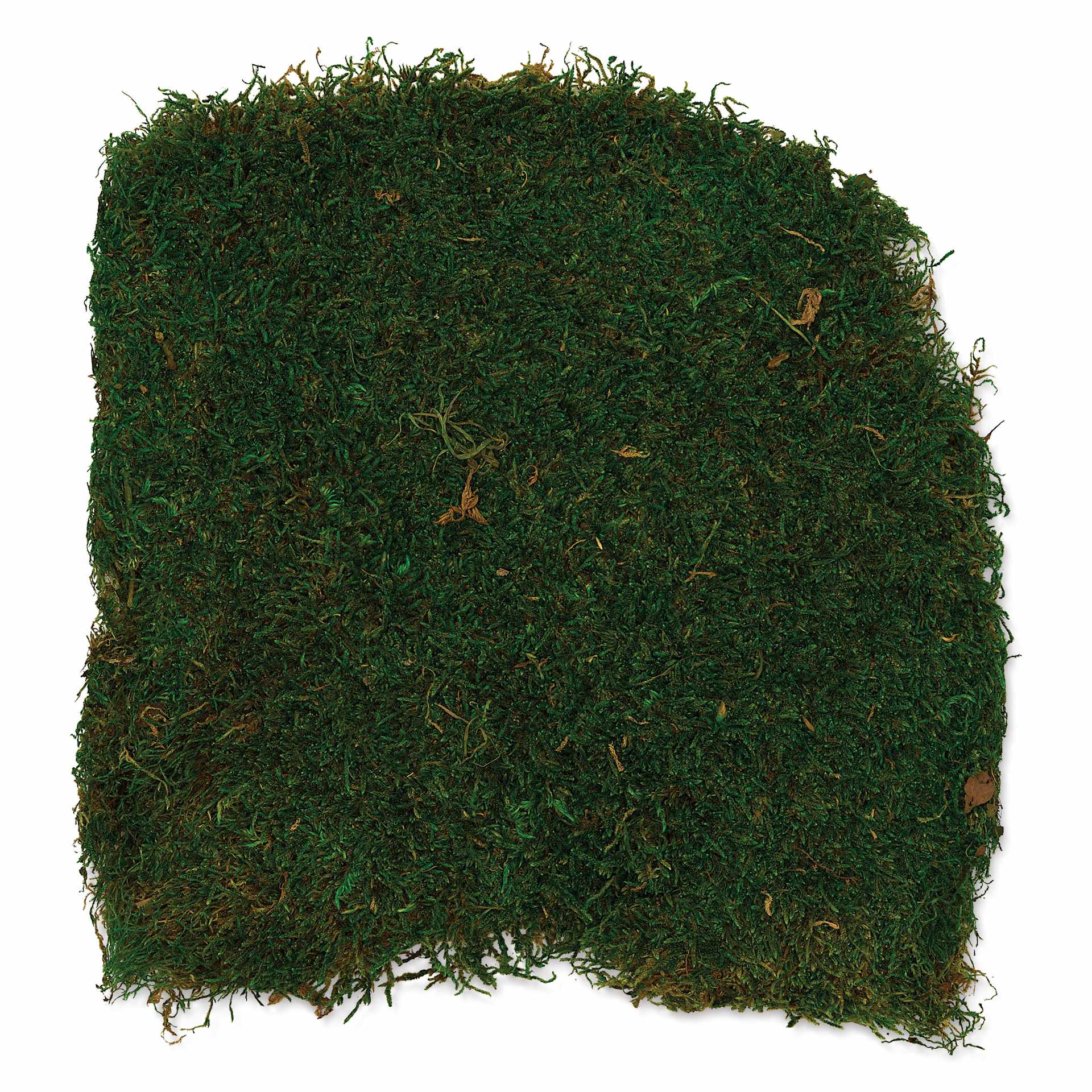 SuperMoss Preserved Sheet Moss