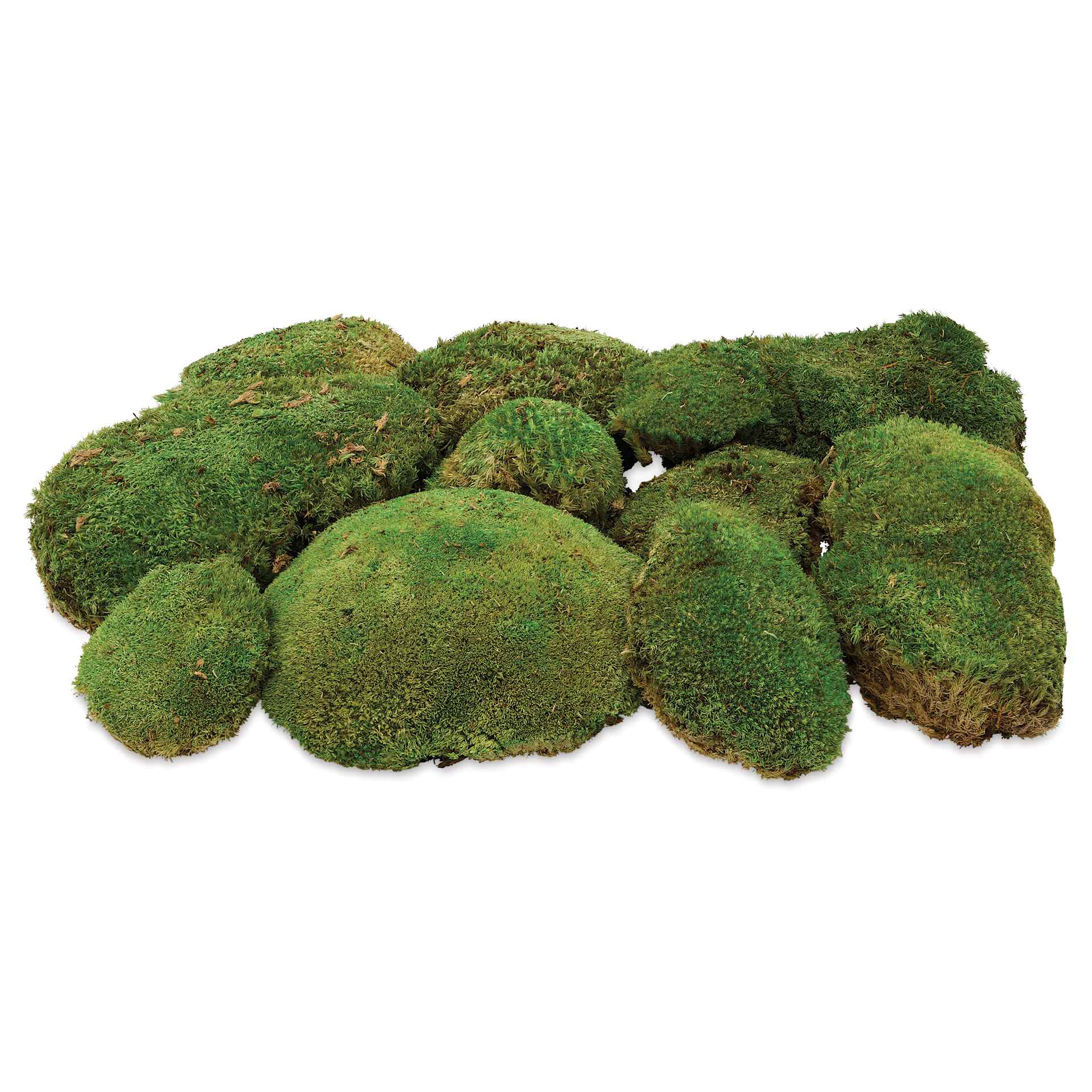 SuperMoss Preserved Topa Moss - side view