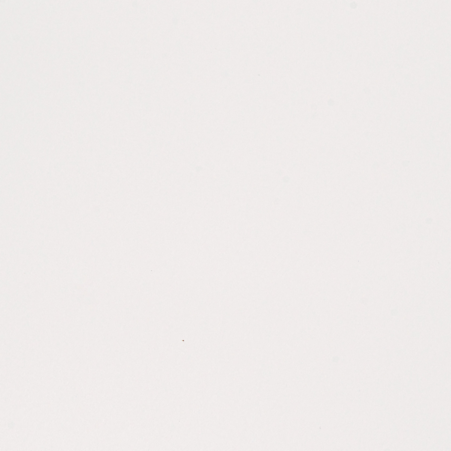 Strathmore 300 Series Sketch Hardcover Wirebound Art Book - 8-1/2" x 11", close up of paper