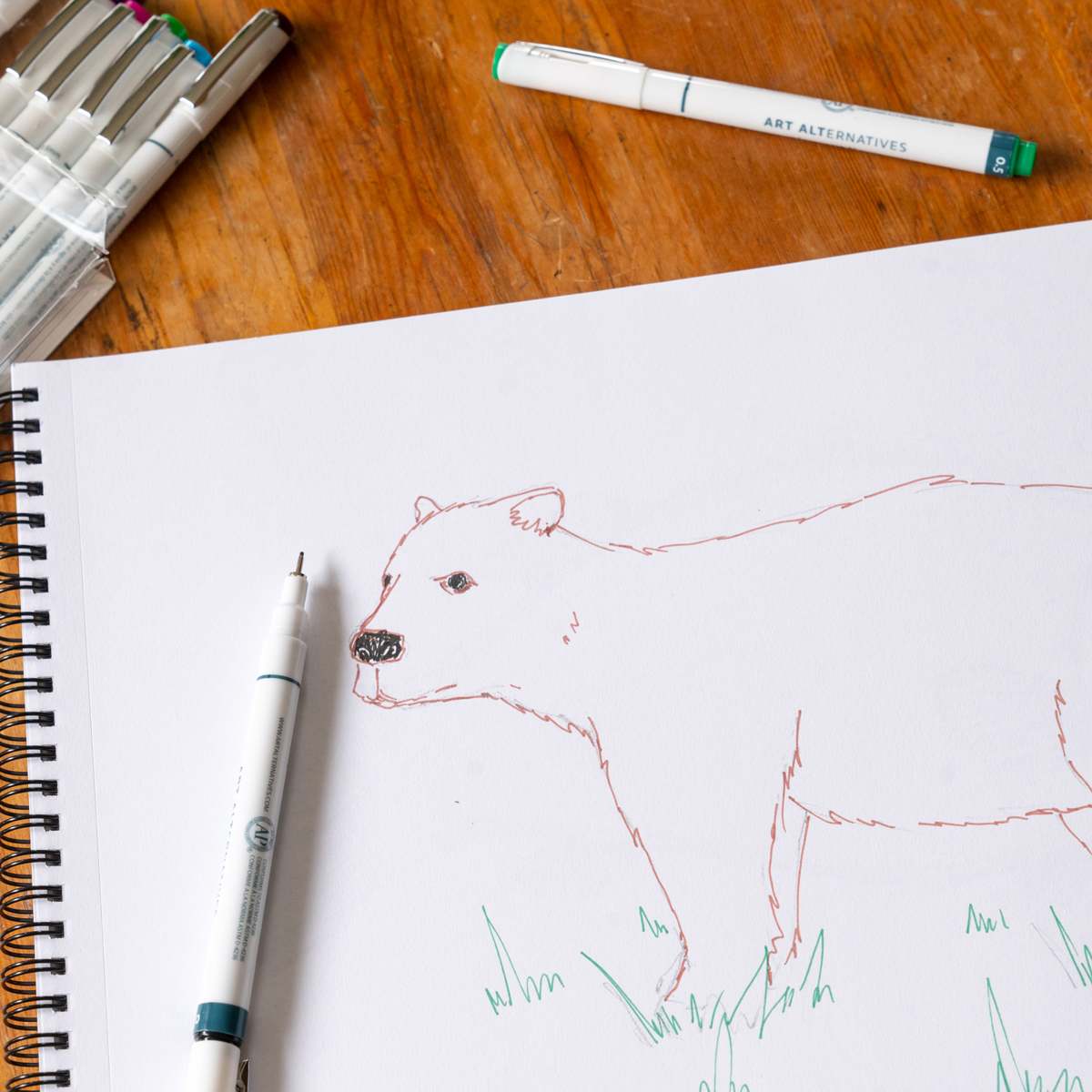 Art Alternatives Pigment Liner - Set of 12, Assorted Colors, .45 being used to draw bear illustration