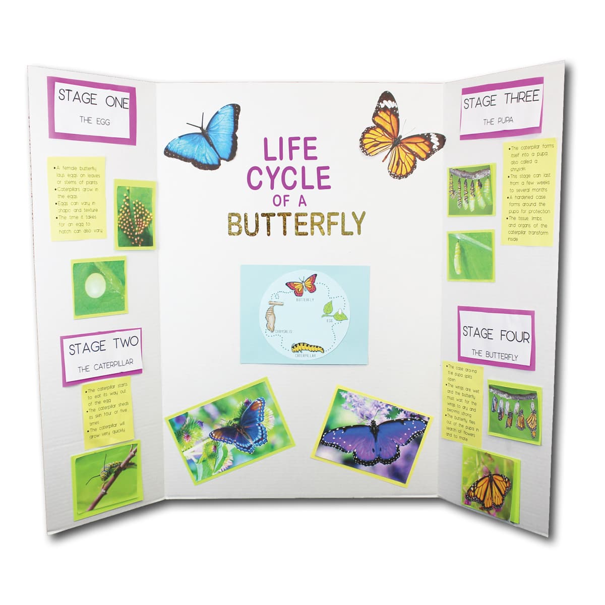 Corrugated Project Display Boards White - 36" x 48" Corrugated