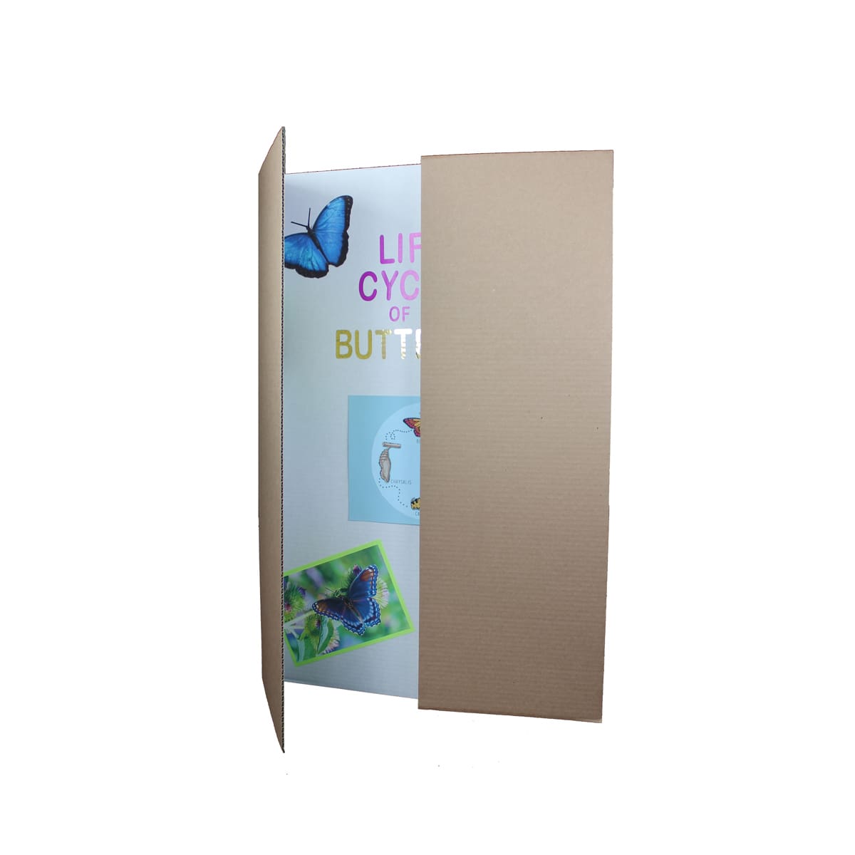 Corrugated Project Display Boards White - 36" x 48" Corrugated