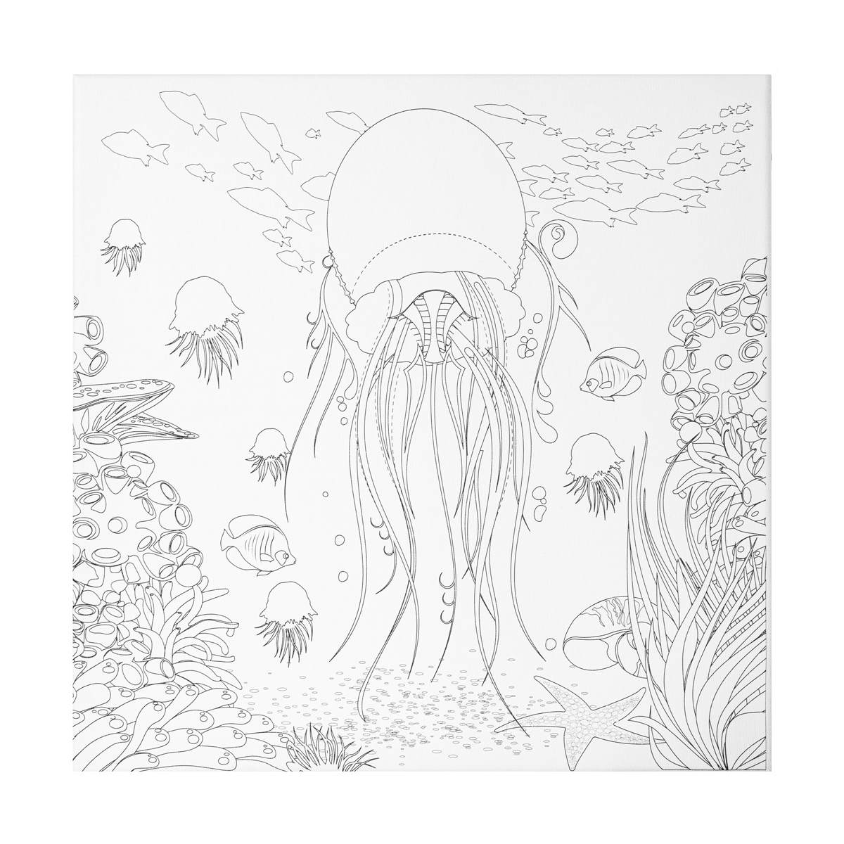 Hello, Artist! Color-In Canvas, Fun Pre-printed Design, 14” x 14”, Pkg of 4, jellyfish