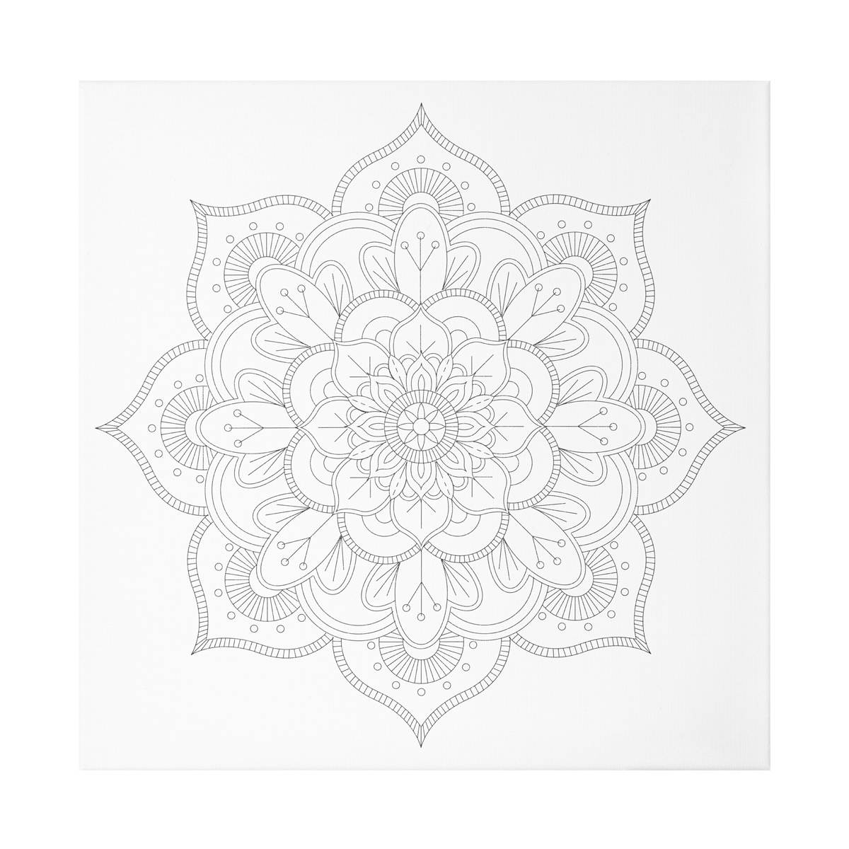 Hello, Artist! Color-In Canvas, Fun Pre-printed Design, 14” x 14”