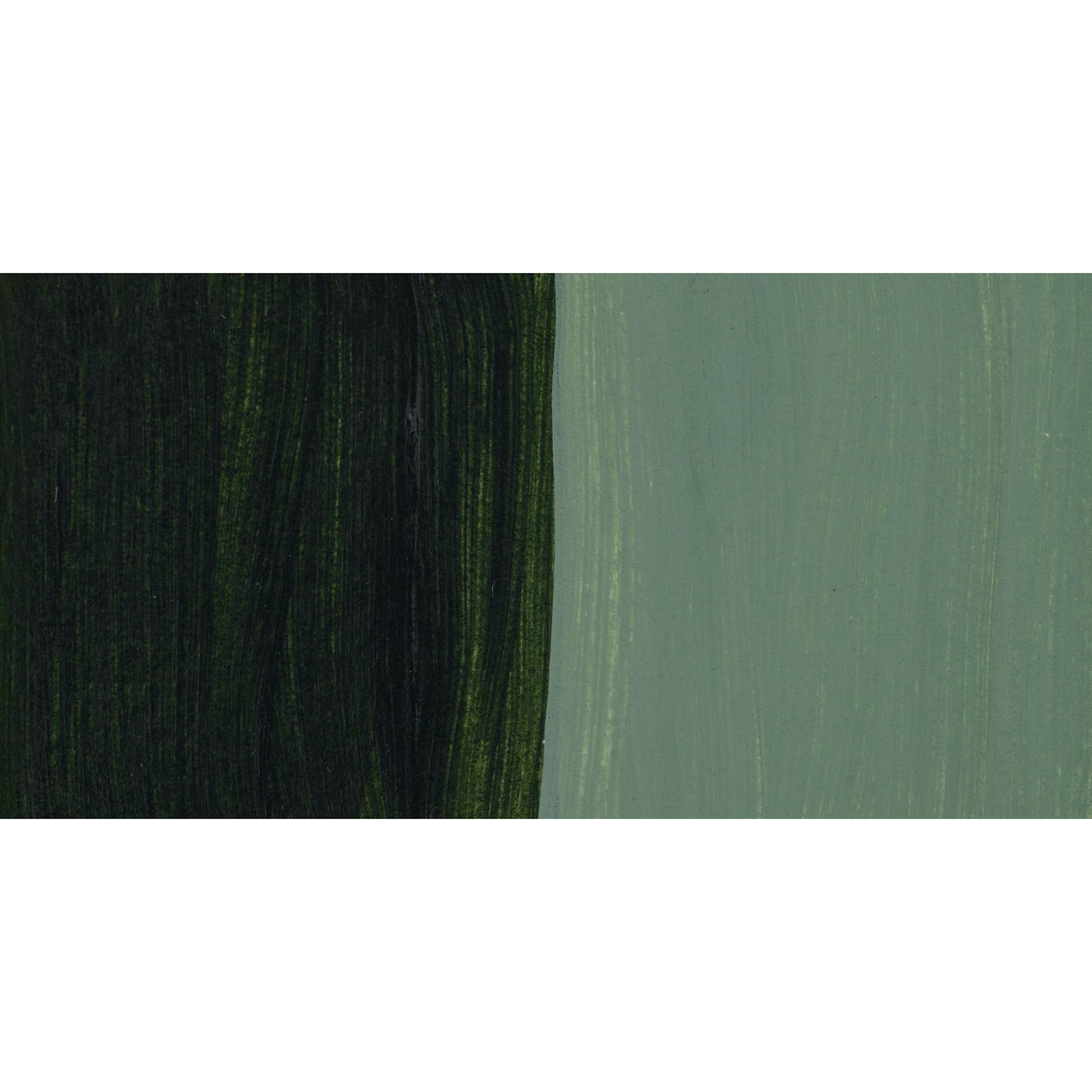 Ara Artists’ Acrylic Paint - Hookers Green Lake Deep Extra swatch