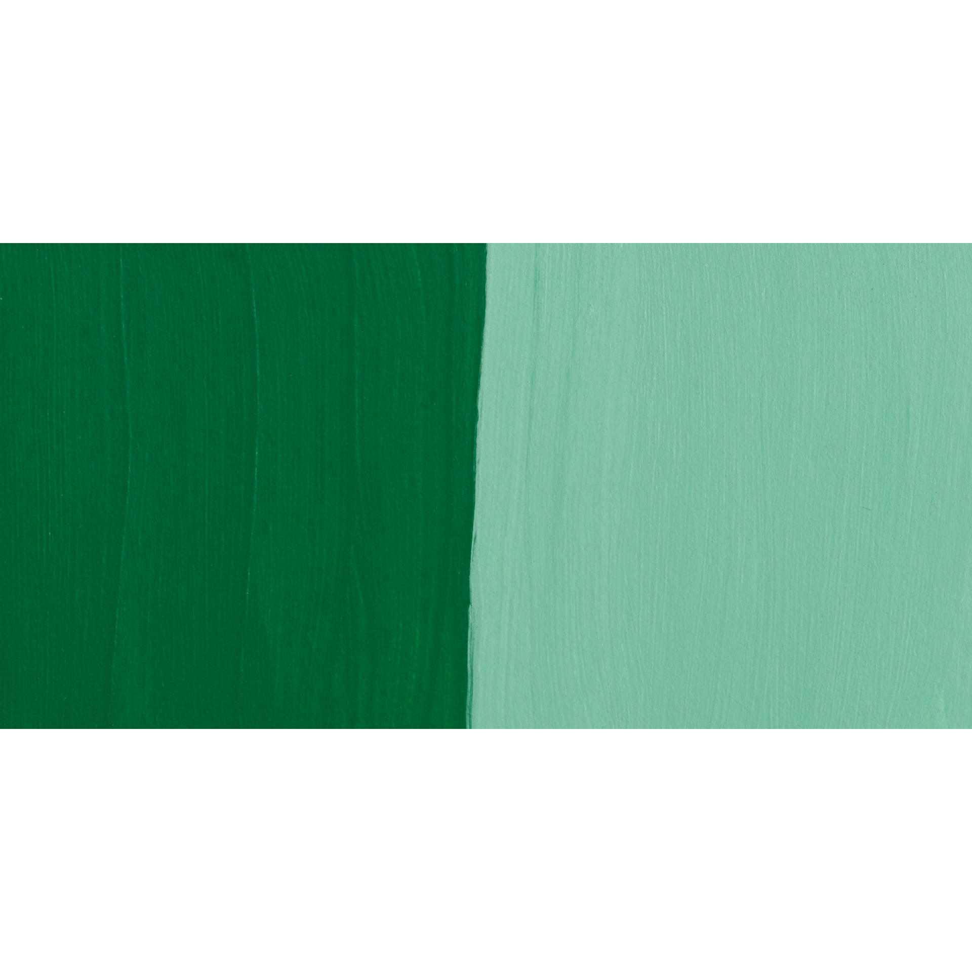 Nova Color Artists’ Acrylic Polymer Paint - Medium Green swatch