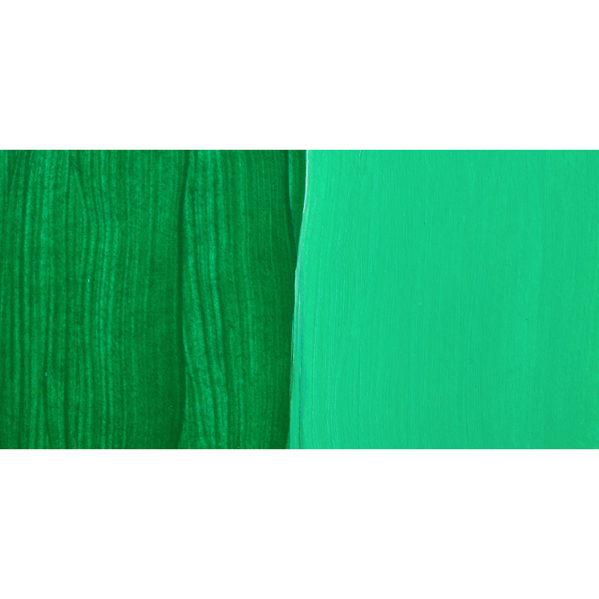 Nova Color Artists’ Acrylic Polymer Paint - Permanent Green Light swatch