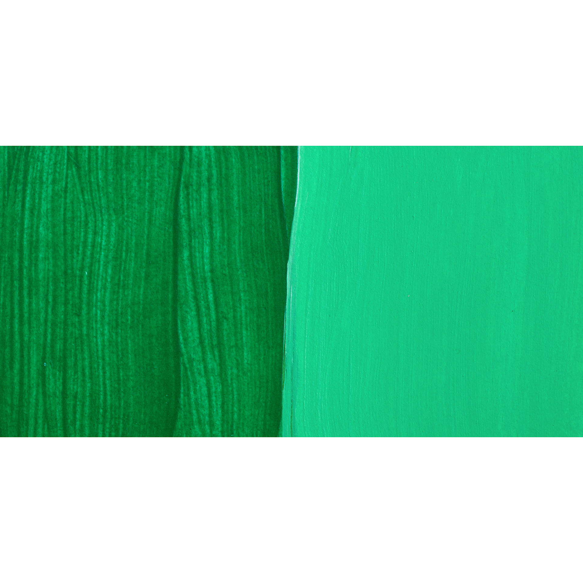 Nova Color Artists’ Acrylic Polymer Paint - Permanent Green Light swatch