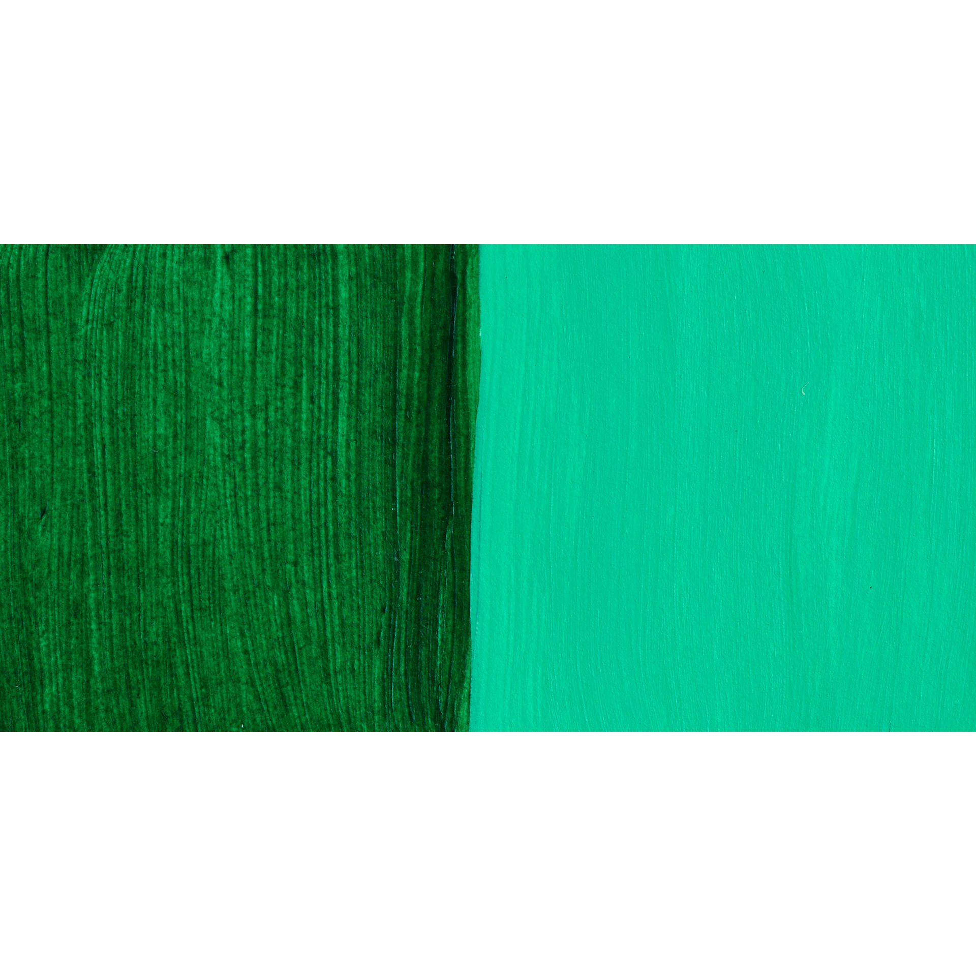 Nova Color Artists’ Acrylic Polymer Paint - Phthalo Green Yellow Shade swatch