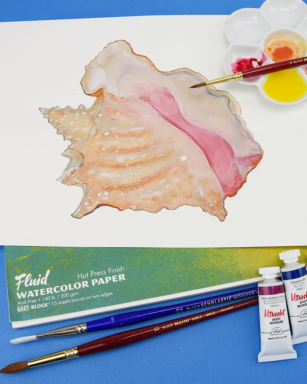 Bundle Conch