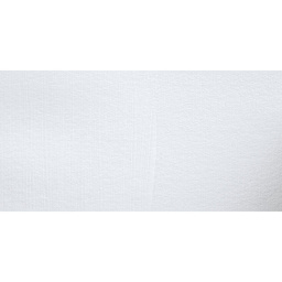 Chroma Chromatemp Artists' Tempera Paint - White swatch