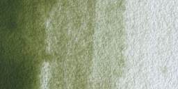 Winsor & Newton Professional Watercolor - Terre Verte (Yellow Shade) swatch