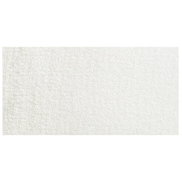 Winsor & Newton Cotman Watercolor - Iridescent White swatch
