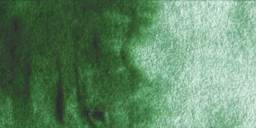 Winsor & Newton Cotman Watercolor - Hooker's Green Light swatch