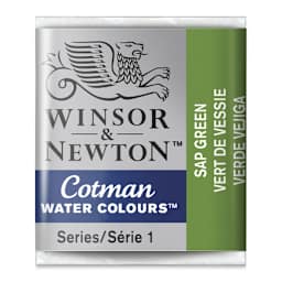 Winsor & Newton Cotman Watercolor Half Pan - Sap Green