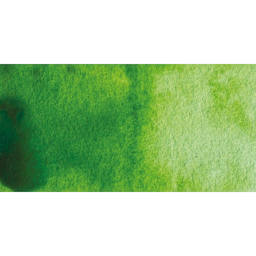 Winsor & Newton Cotman Watercolor Half Pan - Sap Green swatch