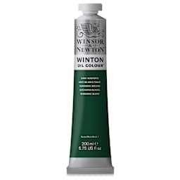 Winsor & Newton Winton Oil Color - Dark Verdigris, 200 ml tube