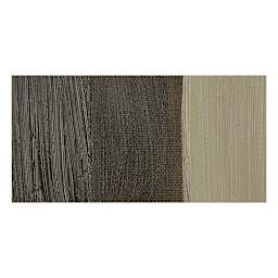 Winsor & Newton Artists' Oil Paint - Raw Umber swatch
