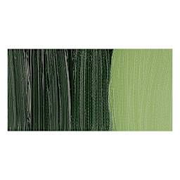 Holbein Duo Aqua Water Soluble Oil Paint - Sap Green swatch