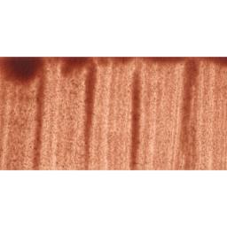 Citadel Shade Acrylic Paint - Reikland Fleshshade, swatch