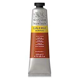 Winsor & Newton Galeria Flow Acrylics - Burnt Sienna, 200 ml tube