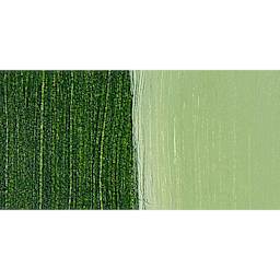 Liquitex Professional Soft Body Acrylic Paint - Sap Green Permanent swatch