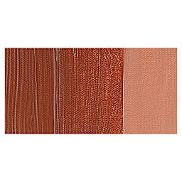 Liquitex Professional Heavy Body Acrylic Paint - Burnt Sienna swatch