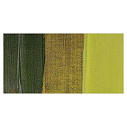 Liquitex Professional Heavy Body Acrylic Paint - Green Gold swatch