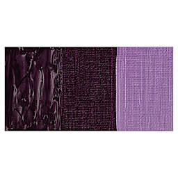 Liquitex Professional Heavy Body Acrylic Paint - Prism Violet swatch
