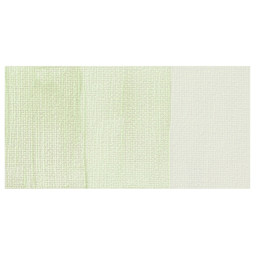 Amsterdam Standard Series Acrylic Paint - Pearl Green swatch