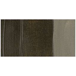 Chroma A2 Lightfast Heavy Body Arylic Paint - Raw Umber swatch