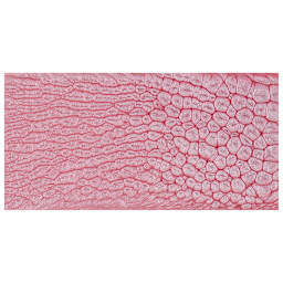 Pebeo Fantasy Prisme Paint - Icy Pink swatch