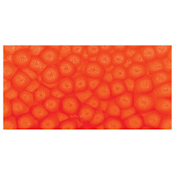 Pebeo Fantasy Prisme Paint - Fluorescent Orange swatch